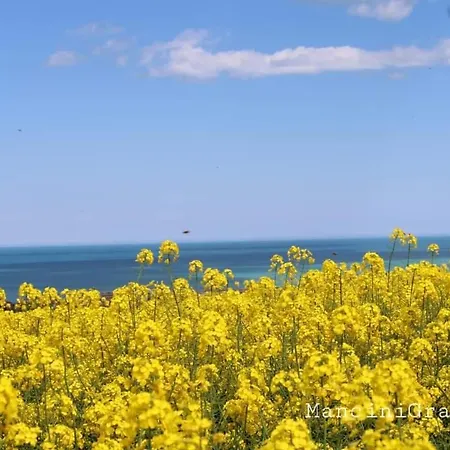 Casa Di Adele Con Giardino Privato A 150 Mt Dal Mare Σπίτι διακοπών